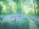 Brimstone Butterflies in the Spring Woods
Artist: Nicholas Hely Hutchinson