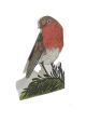 Garden Robin 3D by Judy Lumley Prints