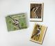 12 boxed postcards with envelopes
from linocut prints by Robert Gillmor