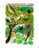 Astonished Bushes screenprint- Carry Akroyd Art Greeting Card 