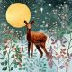  Yule deer by Jacqueline Wild