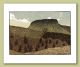 Craig Ty Nant Greeting Card by Ian Phillips Linocut Artist 