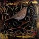 The darkling thrush By Catherine Hyde