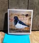 Gilbert the oystercatcher by Liz Toole