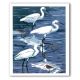 Egrets & Dunlin - Ann Lewis