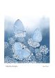 Holly Blue Butterflies by Jane Peart