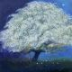 The May tree By Catherine Hyde