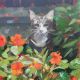 Louie in the Nasturtiums by Anne Marie Butlin