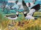 Lapwings Nest by Mark Hearld