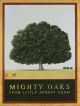 Rebecca Campbell Mighty Oaks