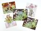 Angie Lewin postcard pack  6 postcards from watercolours 