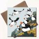 'Puffin Colony' by Rachel Hudson