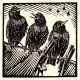 Starlings by Richard Allen SWLAArt Greeting Card, Linocut