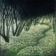 Ramson Path Etching Morna Rhys 