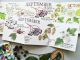 September Nature Journaling By Angela Hennessy