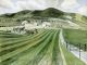 ERIC RAVILIOUS Mount Caburn |1935