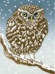 
LINDA RICHARDSON
A Winter Perch