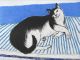 DAME ELIZABETH BLACKADDER Toby