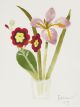 MARY FEDDEN Spring Flowers