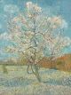 The Pink Peach Tree|1888  VINCENT VAN GOGH