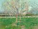 Vincent Van Gogh Vincent Van Gogh Orchard in Blossom|1880