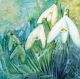 Silver Bells (snowdrops) By Denny Webb