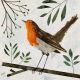 Mr Robin Redbreast By Gordy Wright