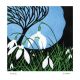 Snowdrops By Sue Wheeler