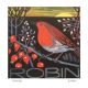 Winter Robin By  Sue Wheeler 