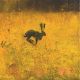 The Dew Flirt By Catherine Hyde