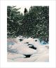 Snowy Caw by William H. Haye