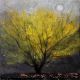 Witchhazel By Catherine Hyde