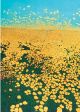 Buttercup Ridge Artist: Phil Greenwood