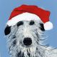 Festive Stan - Christmas pack 5 by Jenny Handley