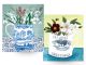 CPRE CHRISTMAS CARD 6 PACK – Seasons Greetings & Snowdrops in Jug