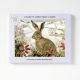 AGBI CHRISTMAS CARD PACK – Hare and Snow
Artist: Vanessa Bowman