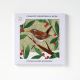 AGBI CHRISTMAS CARD PACK – Wren
Artist: Victoria Whitlam