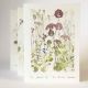 'the Secret Garden' Concertina Book By Amanda Ross