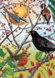 British Birds Advent Calendar Greetings Card By Molly Leamon Art