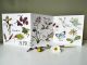 April Nature Journaling concertina card By Angela Hennessy @raspberrythief