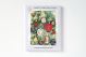 AGBI CHRISTMAS CARD PACK – The Night Before Christmas
Artist: Jill Leman